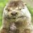 JonAnleu's profile image