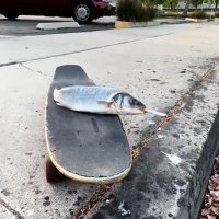 stirling/cring (@themostcring) 's Twitter Profile