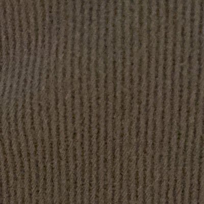 tizzietail's profile picture. 