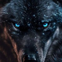 DarknessWolf (@darknesswolf552) 's Twitter Profile