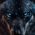 DarknessWolf (@darknesswolf552) Twitter profile photo DarknessWolf (@darknesswolf552) Twitter profile photo