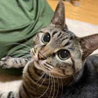 すず🧸🐾 (@uanon1226) 's Twitter Profile Photo