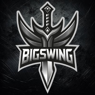 BigSwing.eSports Profile