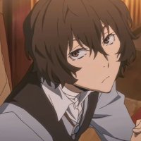zenith (@plausiblywrong) 's Twitter Profile