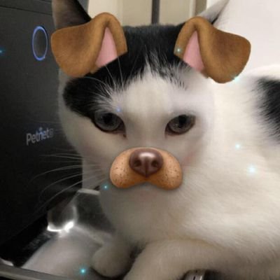 reklama_st's profile picture. reklama