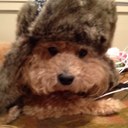 Lori Rosenthal - @lasrros - Twitter