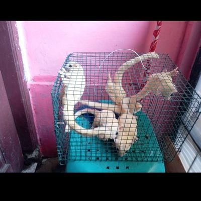 arulhokama123's profile picture. 