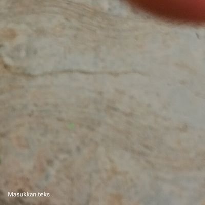 ItemArab57087's profile picture. 