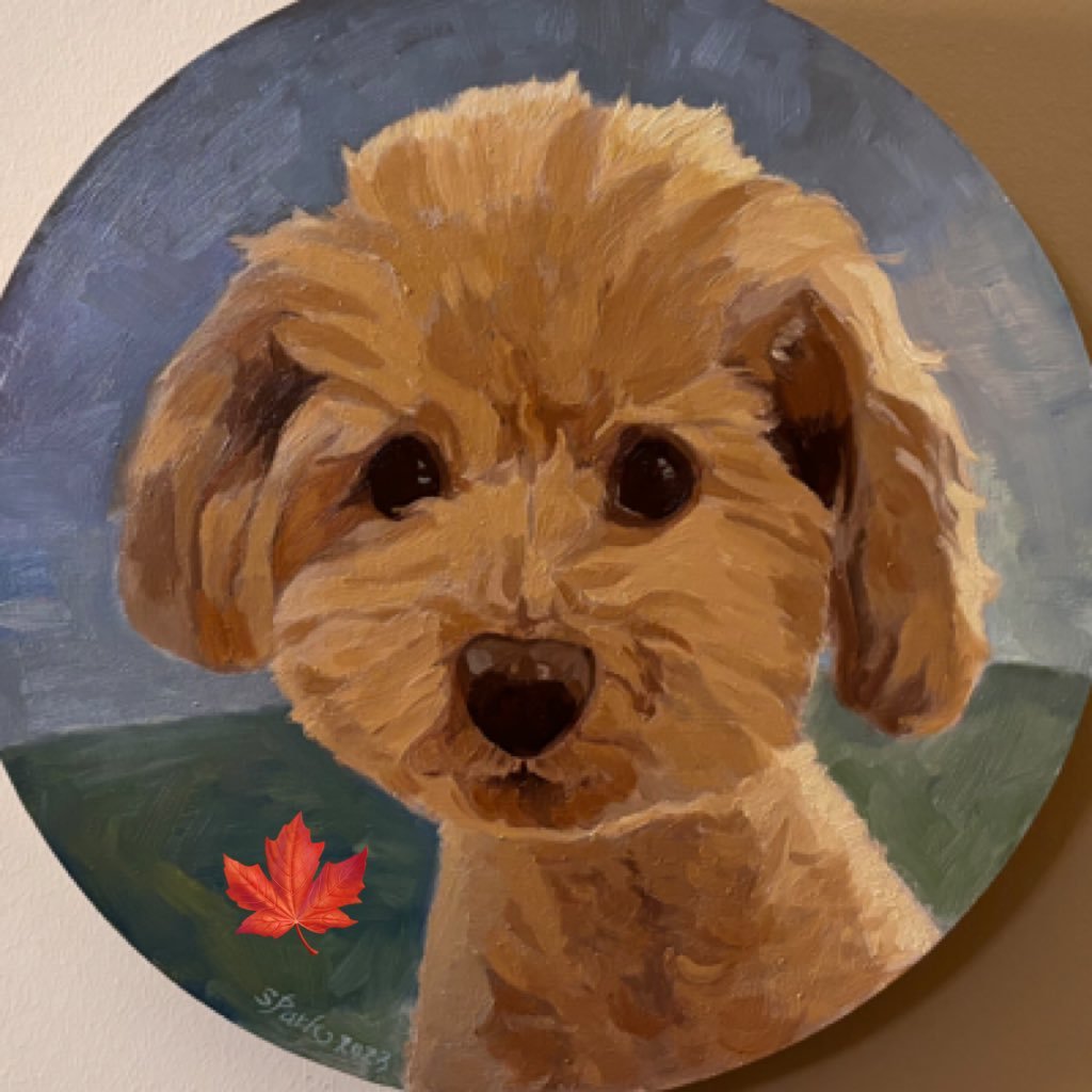 Castiel_2011's profile picture. 