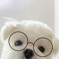 μμπ (@sangsang__10) 's Twitter Profile