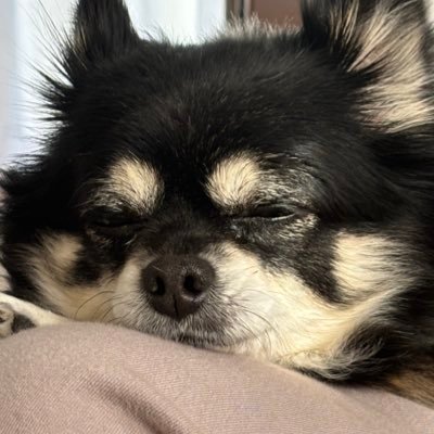 hana_secondz's profile picture. 神奈川/４０代/フルタイム/初ファンクラブ/タイプロありがとう♡♡♡8人が好きすぎて完全な箱推しになってます♡♡ 🕰️💫𝐭𝐢𝐦𝐞𝐥𝐞𝐬𝐳💫🕰️( ˘ω˘ 🫶)🩵🤍💜🎽💛︎︎︎💚❤️🩷
