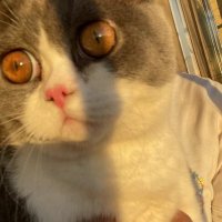 inkakaka (@yuliinkaka) 's Twitter Profile Photo