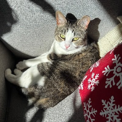 julia_milks's profile picture. 