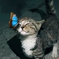 Chøcø (@blackchoco1111) 's Twitter Profile