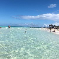 pamela hodgson 😁 (@pamelahodgson3) 's Twitter Profile Photo