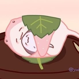 うらば。さんのプロフィール画像