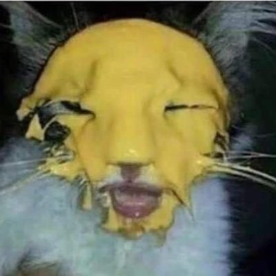 Cheeseyama Profile