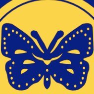 hadep kelebeği (@hadepkelebegi) Twitter profile photo