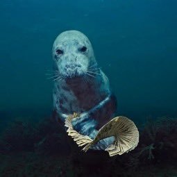 fqxerdevos's profile picture. 