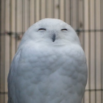 yuyu017115's profile picture. 理学部数学科