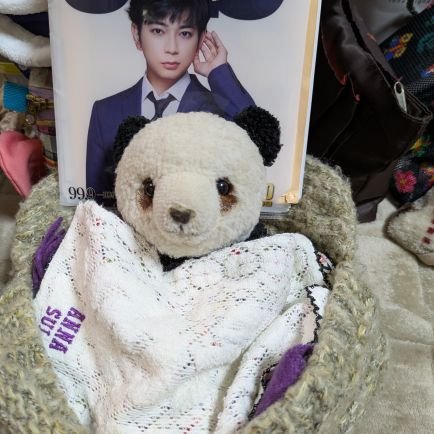 パンダ🐼と嵐さんをこよなく愛する謎の人物です💚💜💛💙❤️パンダ好きさん、嵐好きさん、いつでもフォローやDMお待ちしてます🙋