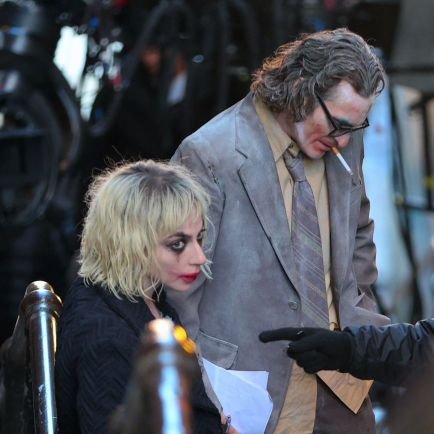 amurtigro1404's profile picture. 