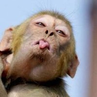 Mak1818 (@xmak1818) 's Twitter Profile