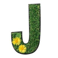 écolo j ♻️🇵🇸🌈🏳️⚧️🍉🔻🚲 (@ecoloj) 's Twitter Profile