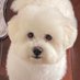 Barb (@barb2474268683) Twitter profile photo Barb (@barb2474268683) Twitter profile photo