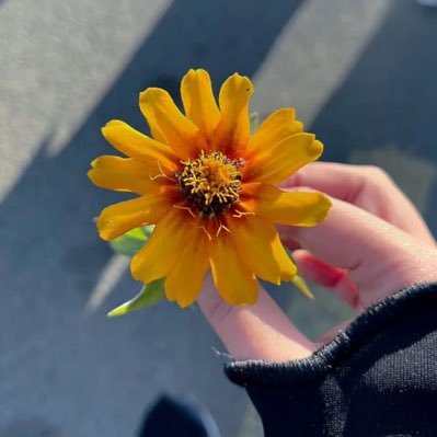 دع ابتسامتك تغير العالم..💕