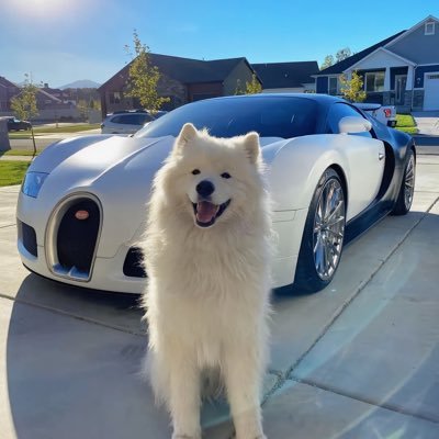 nxiaobin56250's profile picture. web3撸毛人🥶｜空投教程分享📝｜⛓️链上达人｜热点行情分析🧭｜alpha空投🎁｜web2黄牛🐂｜专注于各种赛道的套利（一二级市场）📈｜专注于0撸或以小博大，薅各种羊毛🛫｜养各种国外精品乌龟🐢｜00后离职工程安全员开工作室，带着小伙伴深耕 #web3 #Crypto