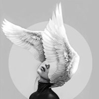 Simyacı (@simyaciist) 's Twitter Profile Photo Simyacı (@simyaciist) 's Twitter Profile Photo