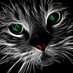 bumil (@bumilswap) Twitter profile photo bumil (@bumilswap) Twitter profile photo