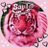 Angel_Shime