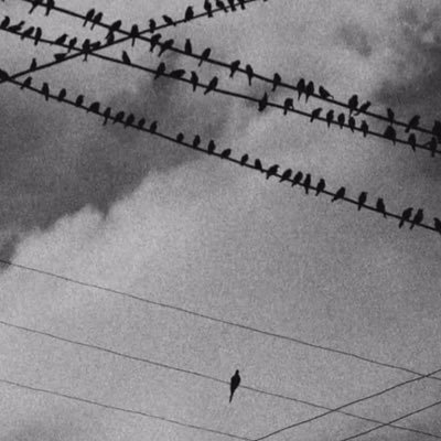 Sayidthe3rd's profile picture. $wepe
Glitch in the matrix👽