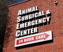 ASECVets's profile picture. emergency vet, specialists, animal lovers