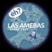 Las Amebas de goma EVA (@chirigotacuqui) Twitter profile photo