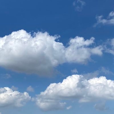 bkmouses's profile picture. 絆ホールディングス関連用。その他社会問題。