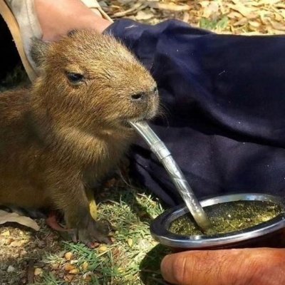 vugohictorvugo's profile picture. isso é normar tudo isso é normar // 23