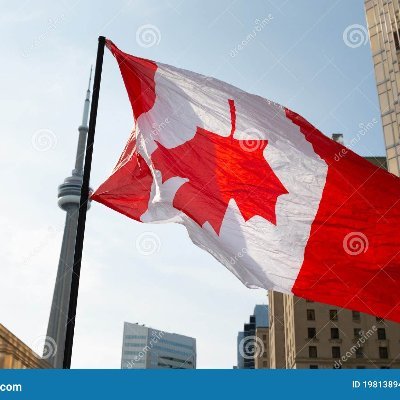 Capital letter 'L' Liberal, the kind that built the Western world. Never had much to say until morons made me say much. If I block you, you earned it.