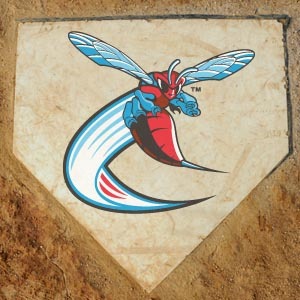 Official Twitter account of the Delaware State University Baseball team.  http://t.co/QYYXnmDQI3