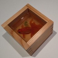 めろんぱん (@djsddf3idghmnsn) Twitter profile photo