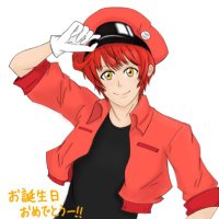 トラ (@torako0v0) 's Twitter Profile Photo