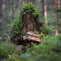 bushwookies0054 (@bushwookies0054) Twitter profile photo