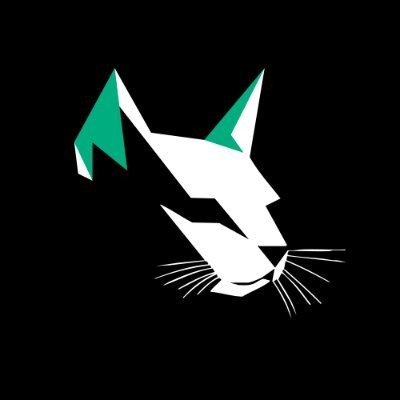 Kittenswap (π±,π±) Profile