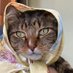 أم هريرة (@n0hera) Twitter profile photo أم هريرة (@n0hera) Twitter profile photo