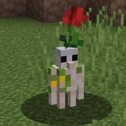 LongKhongSuyyy's profile picture. 