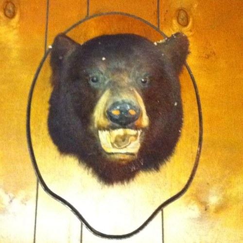 ChilimusMaximus's profile picture. snappin necks and cashin checks