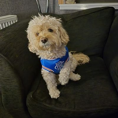 Copland Rear Season Ticket Holder With My Son & Dad To Cooper The Cavapoo
🇬🇧❤️🤍💙🇬🇧🐶