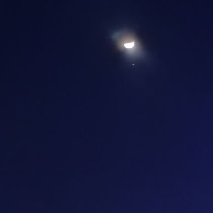 mofumofu_namofu's profile picture. ちばゆうだいさんのことがだいすきです